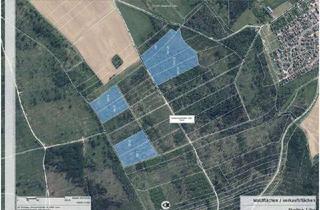 Gewerbeimmobilie kaufen in 99448 Kranichfeld, Verkauf von Waldflächen, Gemarkung Stedten