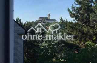 Wohnung mieten in 53721 Siegburg, Frisch renovierte helle 2-Zimmer Wohnung, Siegburg Mitte