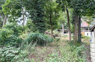 Grundstück zu kaufen in 16548 Glienicke, Ihr Traumhaus beginnt hier: Großes Baugrundstück mit leichter Hanglage!