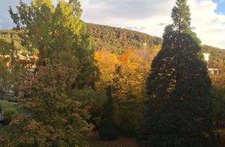 Wohnung kaufen in Berliner Straße 98, 79211 Denzlingen, Unvermietete 2,5 Zimmer Wohnung mit herrlicher Aussicht am Ortsrsnd von Denzlingen zu verkaufen.