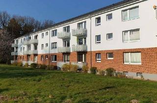 Wohnung mieten in Berliner Straße 27, 21244 Buchholz, Ruhig gelegene Mietwohnung in Buchholz- Wentzel Dr.