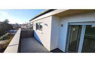 Wohnung mieten in Staudenweg 28, 68305 Gartenstadt, Lichtdurchflutete 2-Zimmer-Terrassenwohnung Nähe des Waldes MA-Gartenstadt