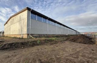 Lager mieten in Handelsstr. 26, 16303 Schwedt, Lagerhalle mit einer Gesamtfläche von 2.178 qm zu vermieten (5,00 € Netto/qm).