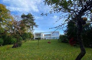 Haus kaufen in 97980 Bad Mergentheim, Provisionsfrei* Großräumiges Architektenhaus mit wundervollem Garten und Einliegerwohnung am Stadtra