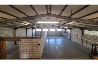 Büro zu mieten in 68623 Lampertheim, Sofort verfügbar! Halle mit Büro- / Verkaufsfläche