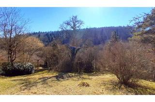 Grundstück zu kaufen in Sommerhalde 32/1, 72213 Altensteig, Grundstück in Südhanglage, teilerschlossen