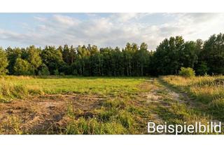 Grundstück zu kaufen in 66851 Horbach, Exklusives 3.076 m² Baugrundstück in idyllischer Waldrandlage – in Horbach