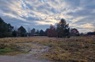Grundstück zu kaufen in 15713 Königs Wusterhausen, Baufeld für EFH