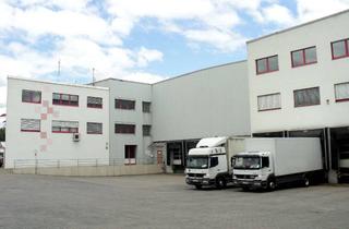 Büro zu mieten in Am Ockenheimer Graben 54, 55411 Bingen, **Provisionsfrei, direkt vom Eigentümer** 410 m² Bürofläche im 1. OG zu interessanten Konditionen