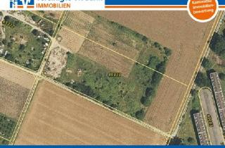 Immobilie kaufen in 69124 Heidelberg, LANDLUFT: Grundstück sucht Käufer