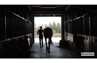 Gewerbeimmobilie kaufen in 56588 Waldbreitbach, Reithalle und Pferdeboxen: Ihr Traum für den Reitsport