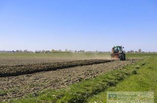 Immobilie kaufen in 95514 Neustadt, Bauerwartungsland Gewerbegebiet "Neumühle"