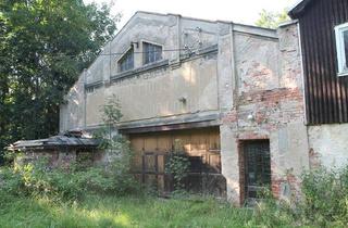 Haus kaufen in 09619 Mulda, Grundstück zur Erholung oder Tierhaltung