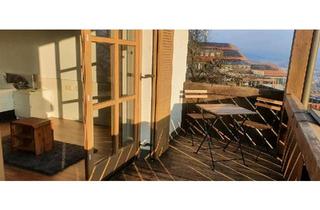 Wohnung kaufen in 94065 Waldkirchen, Waldkirchen - verkaufe provisionsfrei sehr schöne 1 Zimmer Wohnung im Zentrum