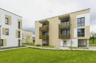 Wohnung mieten in Im Stillen Winkel, 68305 Waldhof, Neubau 2022/23 Im Stillen Winkel 4, 1. OG Nr. 7 - nur mit Wohnberechtigungsschein für zwei Personen