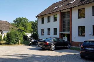 Wohnung mieten in Birkenweg, 29229 Celle, Gemütliche 1 Zimmerwohnung in Groß Hehlen