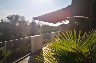 Wohnung mieten in 89407 Dillingen, Luxuriöse Wohnung mit schönem Ausblick