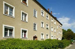 Wohnung mieten in Frommpromenade 18, 13437 Wittenau, Platz für Home-Office oder Kind - 2,5 Zimmer zur freien Gestaltung