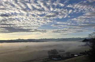 Wohnung mieten in 88175 Scheidegg, Gigantische Bergsicht - Ruhe - AlleinlageGroßzügige 3-Zimmer-Wohnung bei Scheidegg
