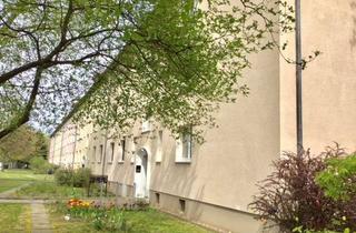 Wohnung mieten in Keglerstr. 16, 01309 Striesen-Süd, Dringend Nachmieter ab sofort gesucht! Küchenmöbel werden zur Übernahme angeboten