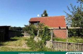 Haus kaufen in 23843 Travenbrück, Zum Wachküssen - Wiesen und Felder als Nachbarn-1001 m² Grdtck. mit Altbausubstanz u. Nebengebäuden