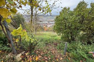 Einfamilienhaus kaufen in 71384 Weinstadt, +++Charmantes Einfamilienhaus – ideal als Garten- und Wochenendhaus - perfekt als Rückzugsort+++