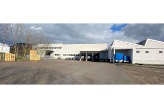 Gewerbeimmobilie mieten in 72793 Pfullingen, Flexible Lagerflächen mit optionaler Full-Service-Logistik
