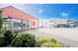 Büro zu mieten in 63579 Freigericht, Gewerbeensemble Produktionshallen + Bürogebäude und umfangreiche Freiflächen