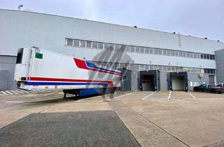 Büro zu mieten in 65527 Niedernhausen, SCHNELL VERFÜGBAR ✓ RAMPE ✓ Lager (1.500 m²) & Büro (200 m²) zu vermieten