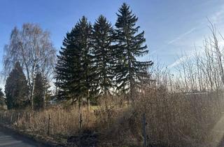 Grundstück zu kaufen in Birkenallee, 02828 Klingewalde, Entwicklungsfähiges Erholungsgrundstück am Görlitzer Stadtrand