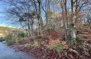 Grundstück zu kaufen in 67659 Erlenbach, KL – Erlenbach: Schönes Baugrundstück in Ortsrandlage