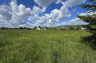 Grundstück zu kaufen in 09249 Taura, 2 schöne ebene Grundstücke in Taura... ca. 36m x 27m