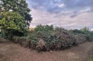 Grundstück zu kaufen in 68239 Seckenheim, Bauplatz in sehr beliebter Wohnlage von MA-Seckenheim - 0-4004