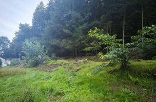 Grundstück zu kaufen in 69434 Hirschhorn, 1.283 m² Baugrundstück in Waldrandlage – Ideal für Ein- bis Vierfamilienhaus