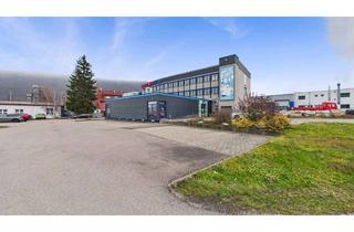 Immobilie kaufen in 73312 Geislingen, Gewerbeimmobilie mit viel Renditepotential