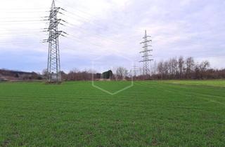 Immobilie kaufen in 41515 Grevenbroich, Ackerland in Grevenbroich