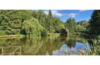 Immobilie kaufen in 65510 Hünstetten, Große Teich- und Freizeitanlage im Taunus zu verkaufen - 2 Fischteiche mit Gerätehaus