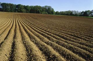 Gewerbeimmobilie kaufen in 93104 Sünching, Ackerfläche in Haidenkofen zu verkaufen!