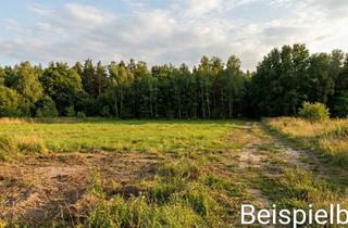 Grundstück zu kaufen in 66851 Horbach, Exklusives 3.076 m² Baugrundstück in idyllischer Waldrandlage – in Horbach