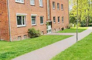Wohnung kaufen in Borgfelder Stieg 26, 21502 Geesthacht, Ruhige Lage in grüner Umgebung - gemütliche Wohnung im gepflegtem Zustand - größere 2 Zi - vermietet