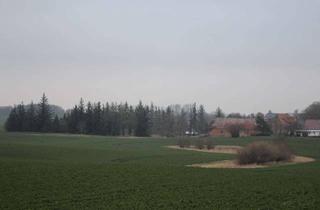 Haus kaufen in 18337 Marlow, Bewohnbares Gutshaus (1751) mit Sanierungspotenzial, Scheune & großem Grundstück