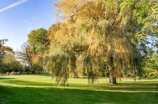 Haus kaufen in 24864 Brodersby, Ein Grundstück, zwei Flurstücke, viele Möglichkeiten!