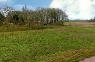 Grundstück zu kaufen in 25693 St. Michaelisdonn, Baugrundstück | Neubaugebiet | Ihr Bauplatz für Ihre Ideen