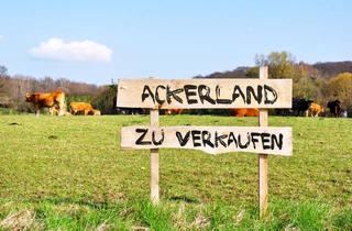 Immobilie kaufen in 26897 Hilkenbrook, ca. 12 ha Ackerland, Grünland, Gehölz und Teich in Hilkenbrook zu verkaufen