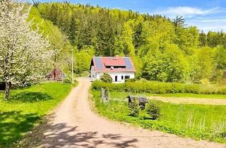 Einfamilienhaus kaufen in 01773 Altenberg, Altenberg - Hier sagen sich Fuchs & Hase gute Nacht... hochwertiges Einfamilienhaus in idyllischer Lage!
