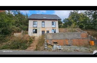 Haus kaufen in 63911 Klingenberg, Klingenberg am Main - Zwei-Familienhaus