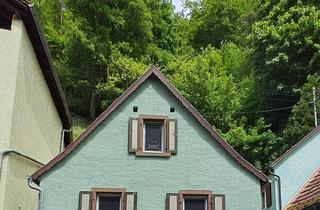 Einfamilienhaus kaufen in 67471 Elmstein, Elmstein - Frisch saniertes Einfamilienhaus mit Garten in Elmstein