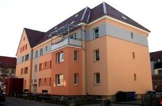 Wohnung mieten in Stiegkamp 1/ 1.OG links, 31061 Alfeld, Alfeld - Wohnen in einem modernisierten Haus!