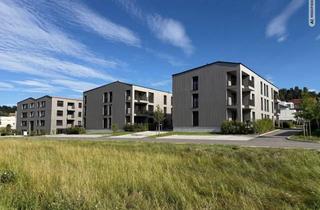 Wohnung kaufen in Talaue, 75391 Gechingen, Betreutes Wohnen – 2-Zimmerwohnung mit Westterasse und Garten