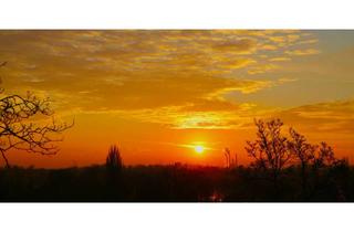 Wohnung mieten in 40627 Unterbach, Ausgefallene 1,5 Zimmer Dachterrassenwohnung mit Fernblick in Düsseldorf-Unterbach